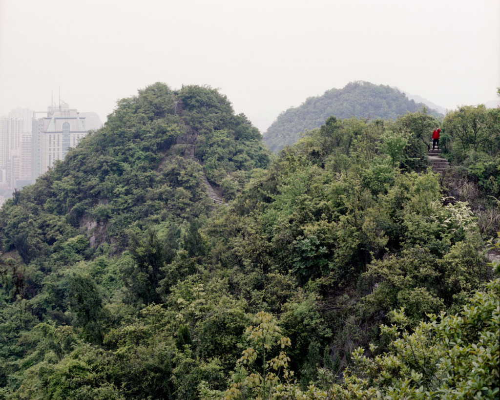 DIVERSIONS SHEN WEI